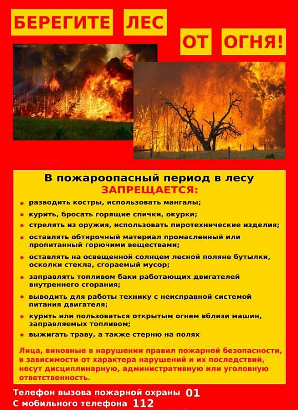 Берегите лес от огня